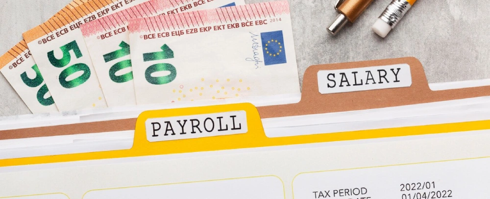 Customizable Payroll Remuneration Packages